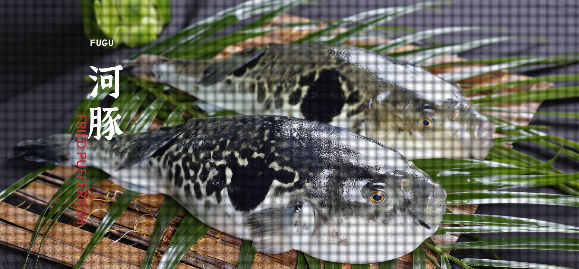 7790�ط�����(�й�)���޹�˾