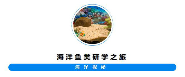 �������׶�԰̽��������������֮��